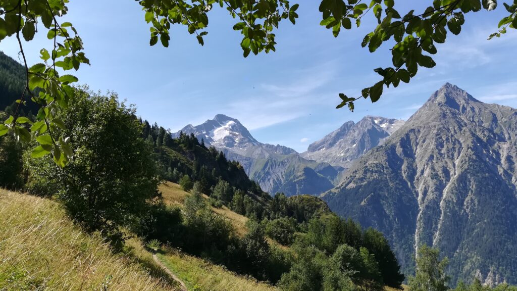 Vue sur la Muzelle depuis la station des 2 Alpes