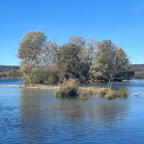 Tour du lac de Miribel
