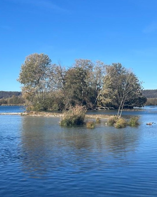 Tour du lac de Miribel Tour du lac de Miribel
