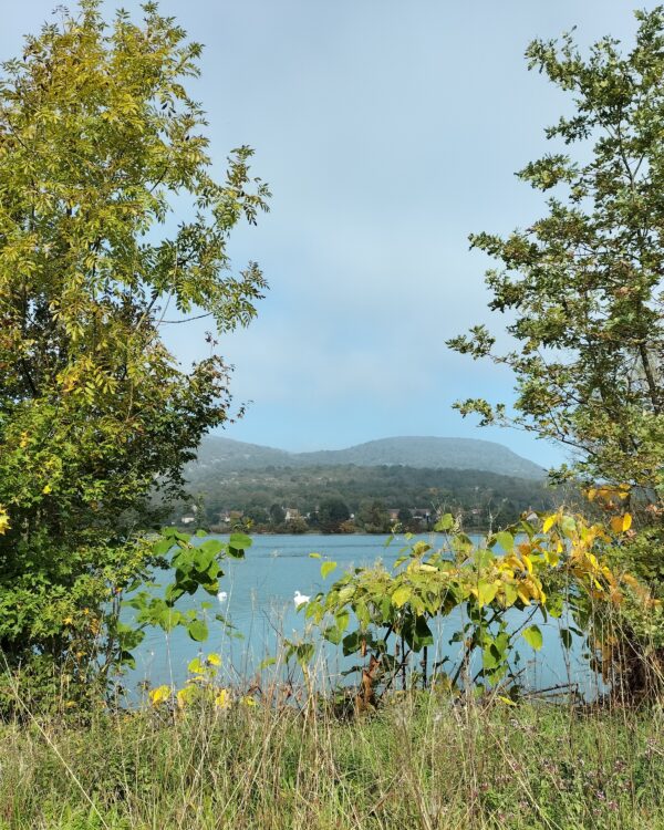 Groslée - Belley GPX - Via Rhôna (Groslée-Belley)