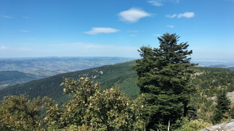 Vue sur la vallée du Rhône depuis le massif du Pilat
