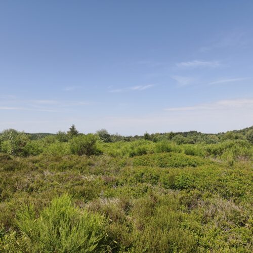 1787914747681 Plateau de la Verrerie (Allier)