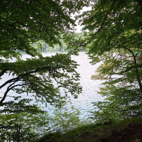 1788430851443 Tour du lac Pavin