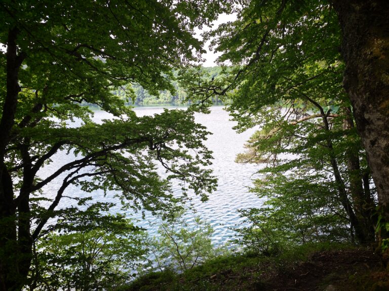 Tour du lac Pavin